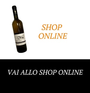 shop online vini gargano